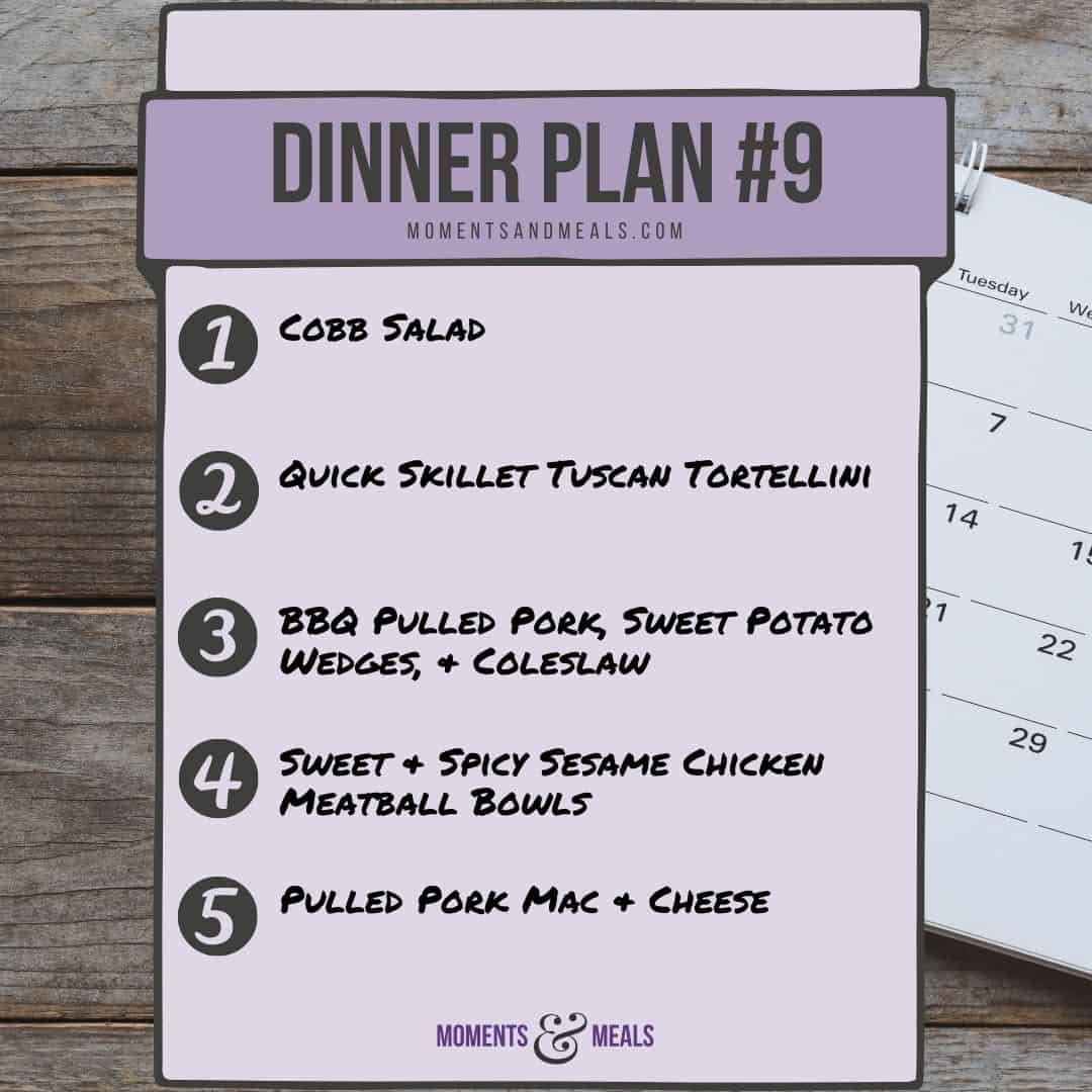 Weekly Dinner Plan #9