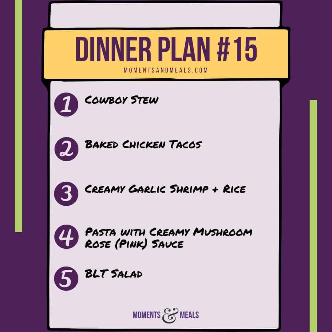 Weekly Dinner Plan #15