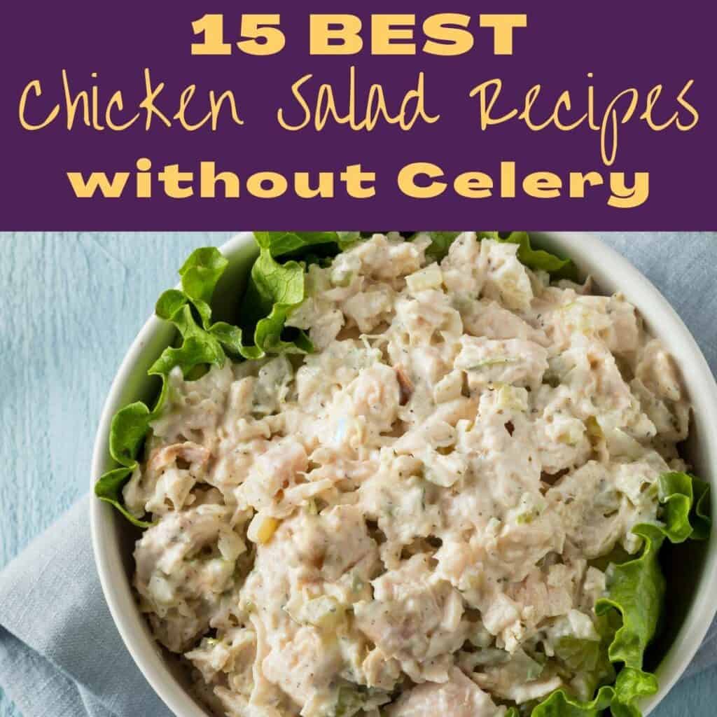 15 Best Chicken Salad Recipes without Celery | Moments & Meals